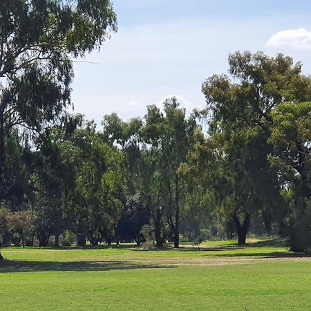 Corowa Golf Club Motel Buitenkant foto